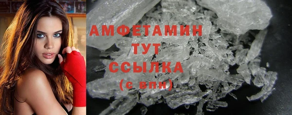 шишки Михайловск
