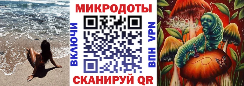 закладки  Олёкминск  Псилоцибиновые грибы прущие грибы 